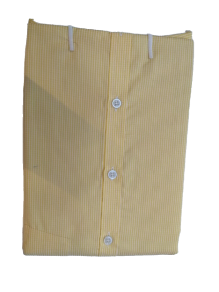 ZADE SHIRT - Regular, Slim Fit Full Sleeve Cotton STRIPE Shirt for Men -CA0043